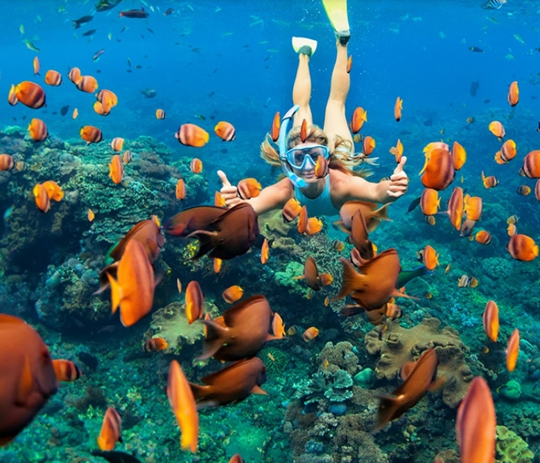 Snorkeling Tours