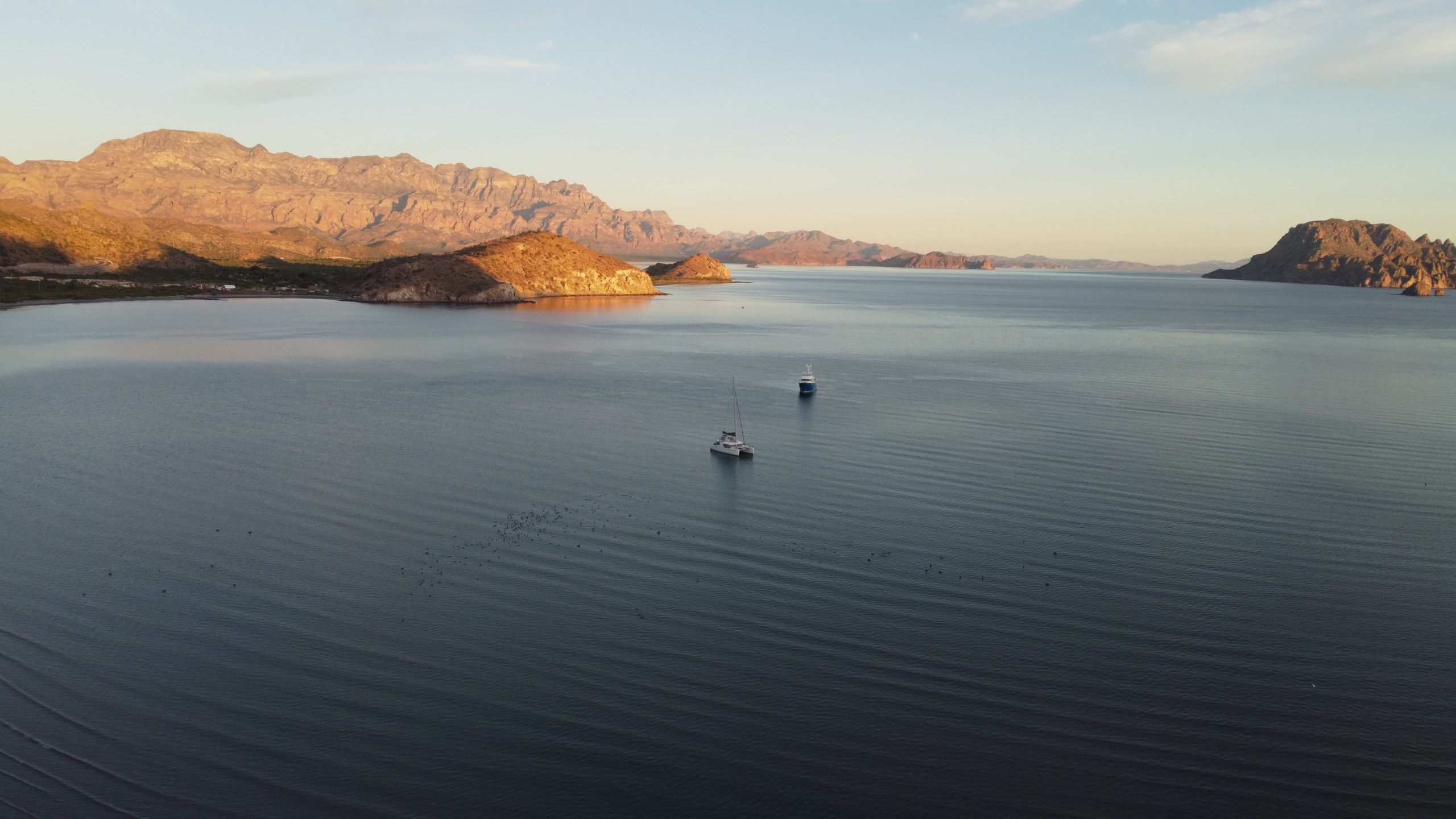 Baja with Sail boats Baja with Sail Boats