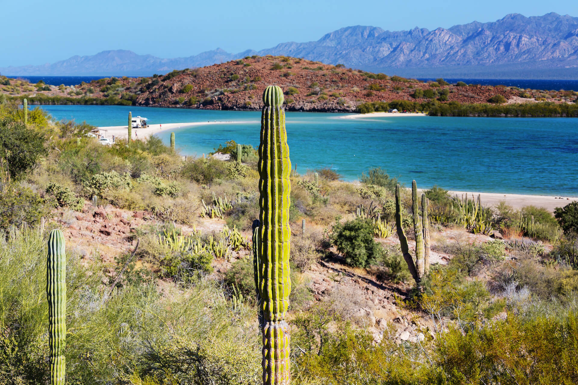 Cactus at Loreto Baja California Sur - Cactus Bay view