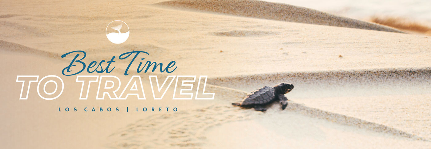 Best Time To Travel | Los Cabos & Loreto Best Time To Travel | Los Cabos & Loreto