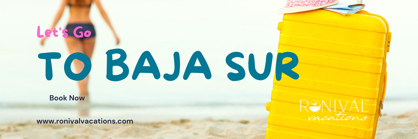 Baja Sur banner