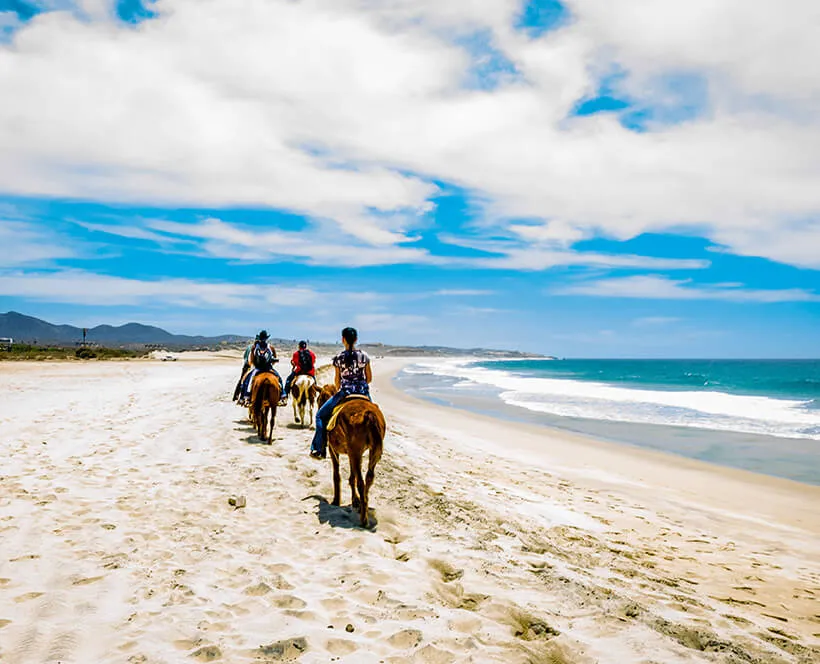 Horseback riding in Cabo San Lucas, Mexico