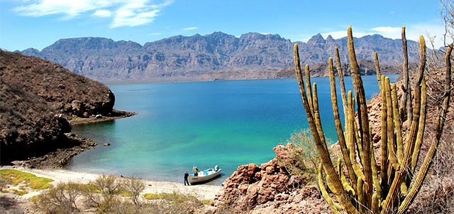 Isla Danzante Loreto Baja California Sur