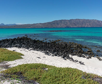 Isla Coronado Beach