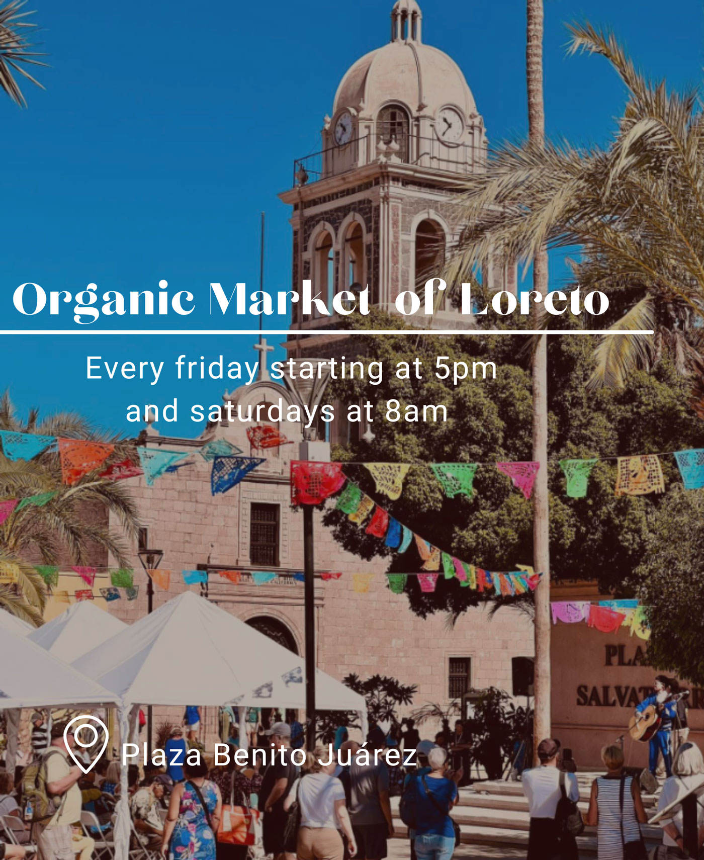 Organic Market in Loreto