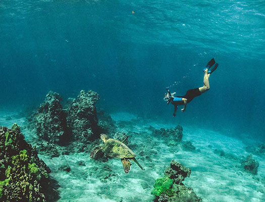 Sea of Cortez in Loreto, Mexico